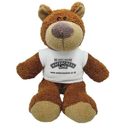 15 Inch Buster Bear with T-Shirt