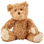 Teddy Bear with Hoodie